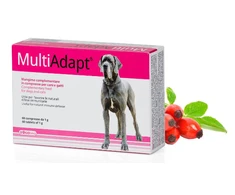 DOGOTEKA MultiAdapt 60 tabl.
