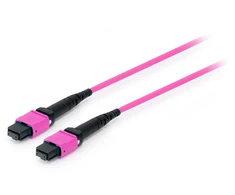 Equip 25555317 „InfiniBand“ arba pluoštinis optinis kabelis 3 m MTP Violetinė