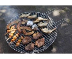 Grotelės Esschert Design FF256, plienas, 52 cm x 52 cm