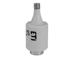 ETI Lydusis saugiklis DII/GG, 20A, E-27, 5 vnt.