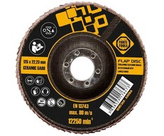 Forte_Tools Žiedlapinis šlifavimo diskas Forte tools, 125x22.23 mm