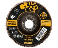 Forte_Tools Žiedlapinis šlifavimo diskas Forte tools, 125x22.23 mm