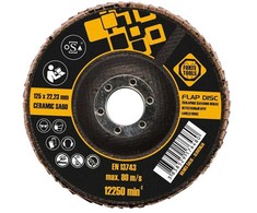 Forte_Tools Žiedlapinis šlifavimo diskas Forte tools, 125x22.23 mm