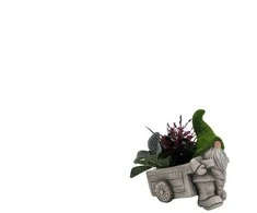 Garden Center Garden_Cente Dekoratyvinis vazonas "Nykštukas", 15.5 cm x 26 cm x 27 cm