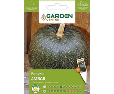 Garden Center Garden_Cente Didžiųjų moliūgų sėklos Sodo centras Ambra