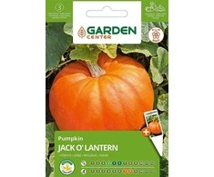Garden_Cente Sėklos Garden Center, moliūgai JACK O'LANTERN, 2 g