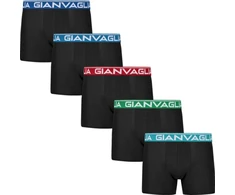 GIANVAGLIA Basic 026 vyriškos medvilninės boxer trumpikės su spalvotomis juostomis, XXL dydis 10 vnt.