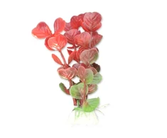 Happet Dirbtinis augalas 10 cm