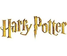 Patalynės komplektas Harry_Potter Patalynės užvalkalų kompl. Harry Potter, pilkas, 140x200 cm