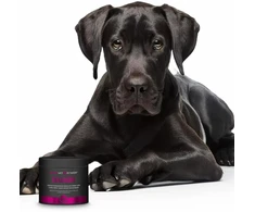 JM SANTE Monovet Power Collagen – papildai šunims ir katėms – 120g