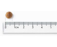 Gyvūnų Maistas - JOHN DOG Good Form Suaugusiųjų Kiaulienos ir Jautienos Be Glitimo 12 kg