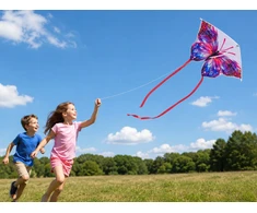 Jokomisiada Spalvingas aitvaras BUTTERFLY – lengvas žaislas-drugelis vaikams ZA6164