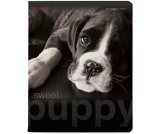 Kaustik Bruno Visconti A5/48L Sweet Puppy 2 5x5ruut