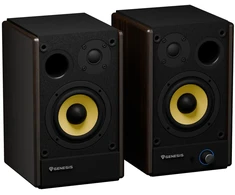 Kompiuterio kolonėlės Genesis Arsen 402BT 2.0 bronzinis
