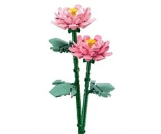 Konstruktorius Sluban Flowers peonies M38-B1101-05