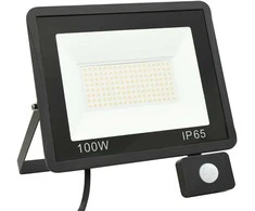 LED prožektorius su jutikliu, šaltos baltos spalvos, 100W