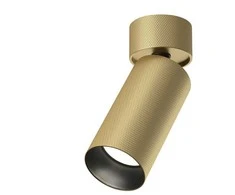 Lubinis šviestuvas Šviestuvas lubų Maytoni Artisan C082CL-01-GU10-MG, 10 W