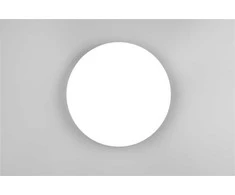 Lubinis šviestuvas Šviestuvas plafonas Reality R67851101, LED, 4000 °K