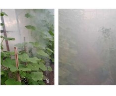 Mkds Dūminė šaškė šiltnamiams SMOG Garlic, 30 g
