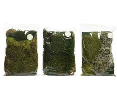 None Nežinomas Dekoratyvinės samanos, 110g