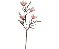 Uniglob Nežinomas Dirbtinė gėlė, magnolija Splendid Magnolia, 59 cm