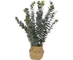 ProGarden Nežinomas Dirbtinis augalas eukaliptas Atmosphera, žalia, 500 mm