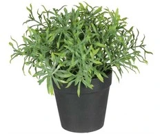 Nežinomas Dirbtinis augalas vazone, vaistažolės Splendid, 20 cm