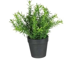 Nežinomas Dirbtinis augalas vazone, vaistažolės Splendid, 22 cm