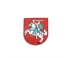 None Nežinomas Lipdukas VYTIS, LIP165-1