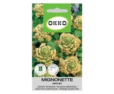 Okko Kvapiųjų razetų MACHET sėklos