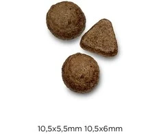 OPTIMANOVA Cat triušiena & bulvės – sausas kačių maistas – 2kg