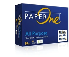 PAPERONE POPIER BIURO ALL PURPOSE A4 80G 500 LAPŲ