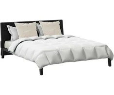 Patalynės komplektas Žiemos antklodė su pagalve 3 pcs Balta Plunksna