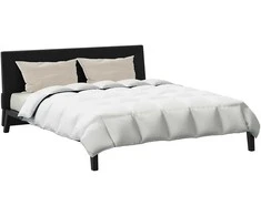 Patalynės komplektas Žiemos antklodė su pagalve 3 pcs Balta Plunksna
