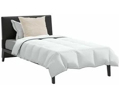 Patalynės komplektas Žiemos antklodė su pagalve 2 pcs Balta Plunksna