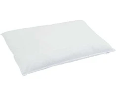 Patalynės komplektas Žiemos antklodė su pagalve 2 pcs Balta Plunksna