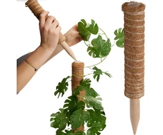 ProGarden Kokosinė augalų atrama 30 cm