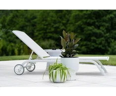 Prosperplast Vazonas Milly ant kojelės 30 cm šviesiai pilkas