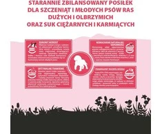 PUPIL Premium Junior Large and extra large breeds Rich in jautiena – sausas Maistas šunims – 12kg