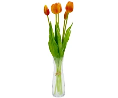Saska Garden oranžinių tulpių puokštė, 39 cm
