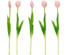 Saska Garden Rožiniai tulpių žiedai 39 cm dekoracija