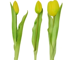 Saska Garden Geltonų tulpių puokštė 31 cm dekoracija
