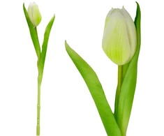 Saska Garden baltas tulpės dekoracija 31 cm