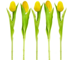Saska Garden Geltonas tulpė, 31 cm, pavasario dekoracija