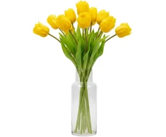 Saska Garden Geltona tulpė 38 cm kaip natūrali