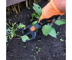 Saska Garden Sodo šakės