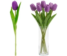 Saska Garden Violetinis tulpė 31 cm pavasario dekoracija