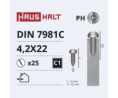 Savisriegiai Haushalt, DIN7981C, 4,2 x 22 mm, 25 vnt.