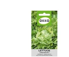 Sėjamosios salotos Okko Iceberg 2