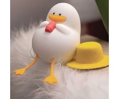 Sieninis šviestuvas LED naktinė lempa SUMMER DUCK FNL-11 Forever Light